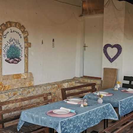 Casa Lavanda - Karin Gornji غورني كارين المظهر الخارجي الصورة